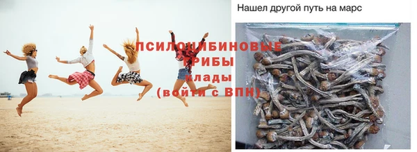 гидропоника Белокуриха