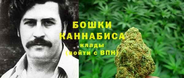 гидропоника Белокуриха