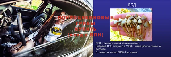гидропоника Белокуриха