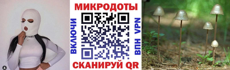 Псилоцибиновые грибы мухоморы  МЕГА ссылки  Полесск 